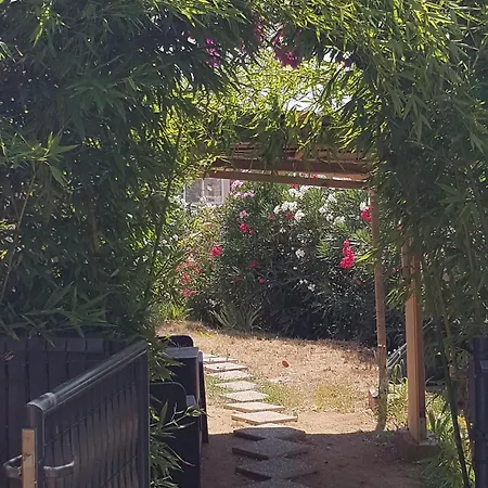 Ribella Alata