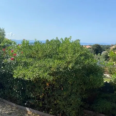 Ribella